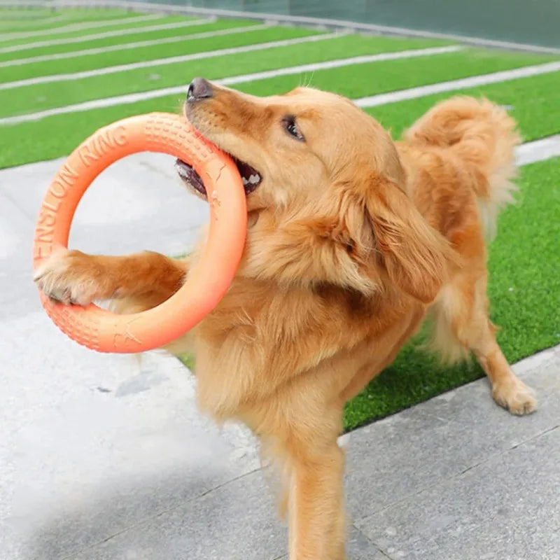 EVA Flying Disk Ring Puller Dog Toy – Interactive Bite & Fetch Toy for Small & Large Dogs