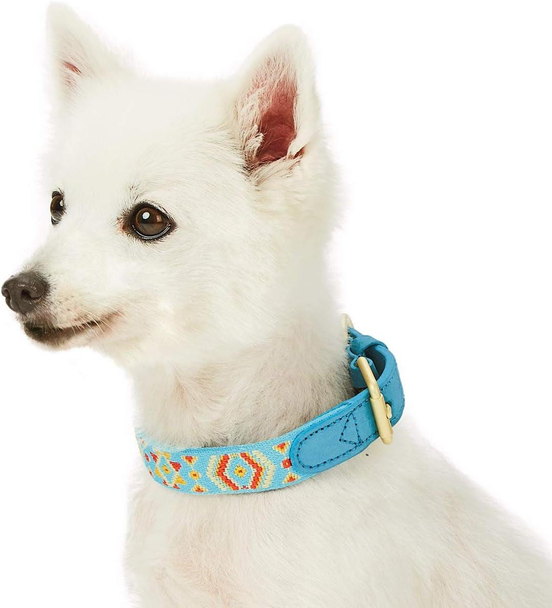Blueberry Pet Southwestern Tribal Dog Collar – Genuine Leather & Polyester Combo with Metal Buckle, Celeste Blue, Large