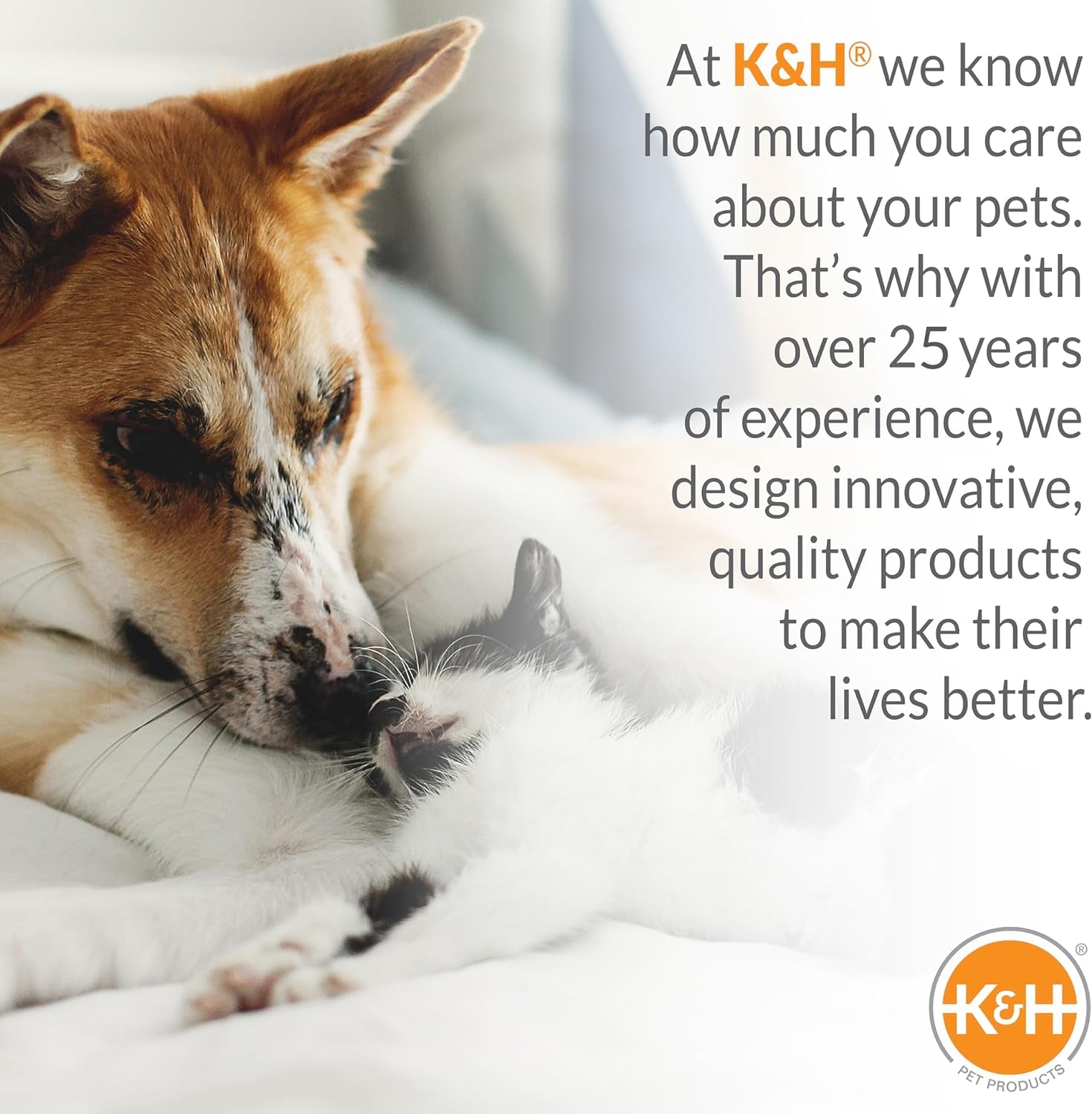 K&H Elevated Dog Cot – All-Weather Cooling Raised Pet Bed for Indoor & Outdoor Use