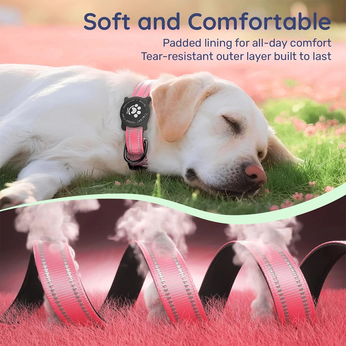 Reflective Dog Collar with Waterproof AirTag Holder & Luminous Safety Buckle