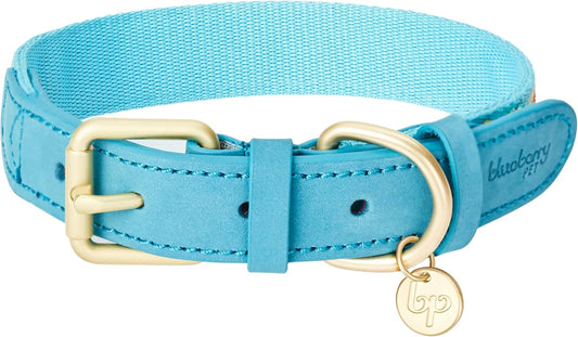 Blueberry Pet Southwestern Tribal Dog Collar – Genuine Leather & Polyester Combo with Metal Buckle, Celeste Blue, Large